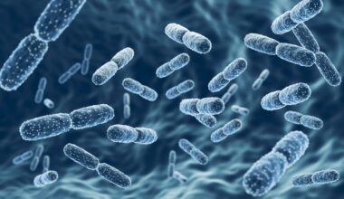How Gut and Semen Bacteria Affect Sperm Health