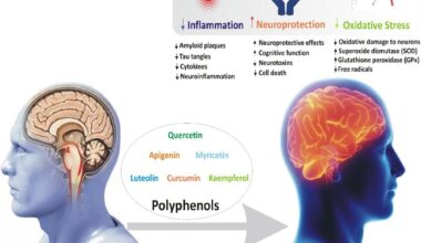 Review: Polyphenols and Alzheimer