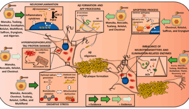 Effects of different honey types on the main molecular features of Alzheimer disease. Arrows’ design reflects the strength of the evidence. Abbreviations: AA = arachidonic acid; Aβ= amyloid beta;