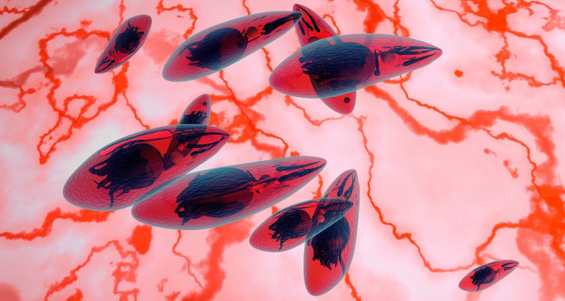 Review: Systematic review and modelling of Toxoplasma gondii seroprevalence in humans, Europe, 2000 to 2021. Image Credit: fotovapl / Shutterstock