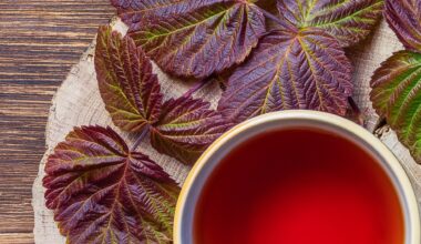 Study: Effects of Raspberry Leaf Tea Polyphenols on Postprandial Glucose and Insulin Responses in Healthy Adults. Image Credit: Evgrafova Svetlana / Shutterstock