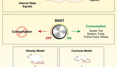 Study: A brain center that controls consummatory responses
