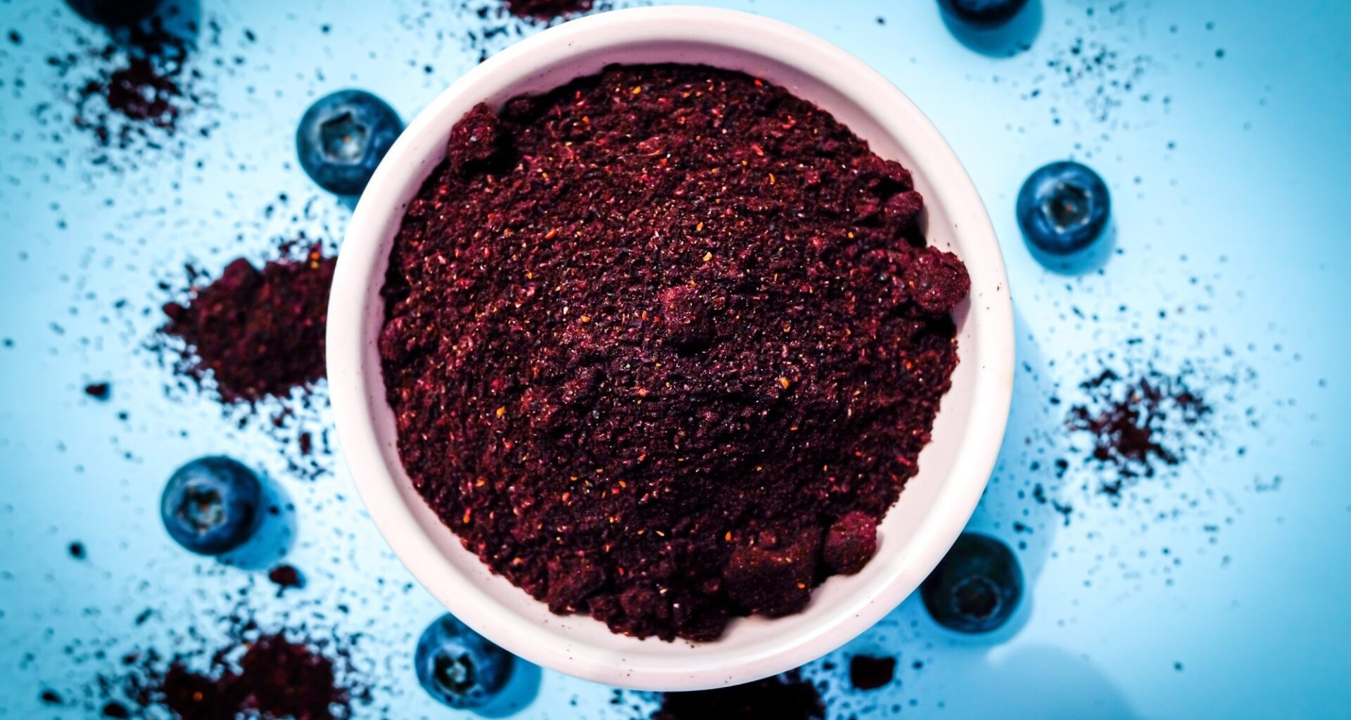 Study: Introducing blueberry powder as one of the first complementary foods changes the gut microbiota composition and diversity in U.S. human milk-fed infants: a double-blind, randomized controlled trial. Image Credit: Radowitz / Shutterstock