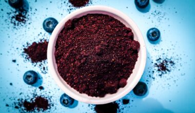 Study: Introducing blueberry powder as one of the first complementary foods changes the gut microbiota composition and diversity in U.S. human milk-fed infants: a double-blind, randomized controlled trial. Image Credit: Radowitz / Shutterstock