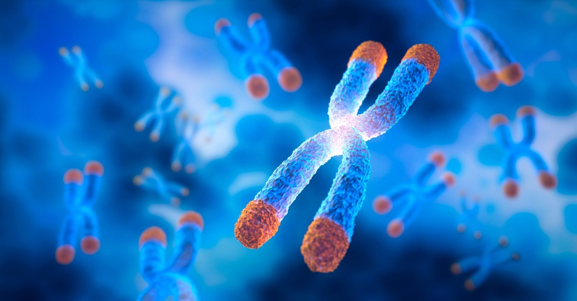 Study: Associations between air pollution and relative leukocyte telomere length among northern Swedish adults based on findings from the Betula study. Image Credit: peterschreiber.media / Shutterstock