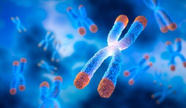 Study: Associations between air pollution and relative leukocyte telomere length among northern Swedish adults based on findings from the Betula study. Image Credit: peterschreiber.media / Shutterstock