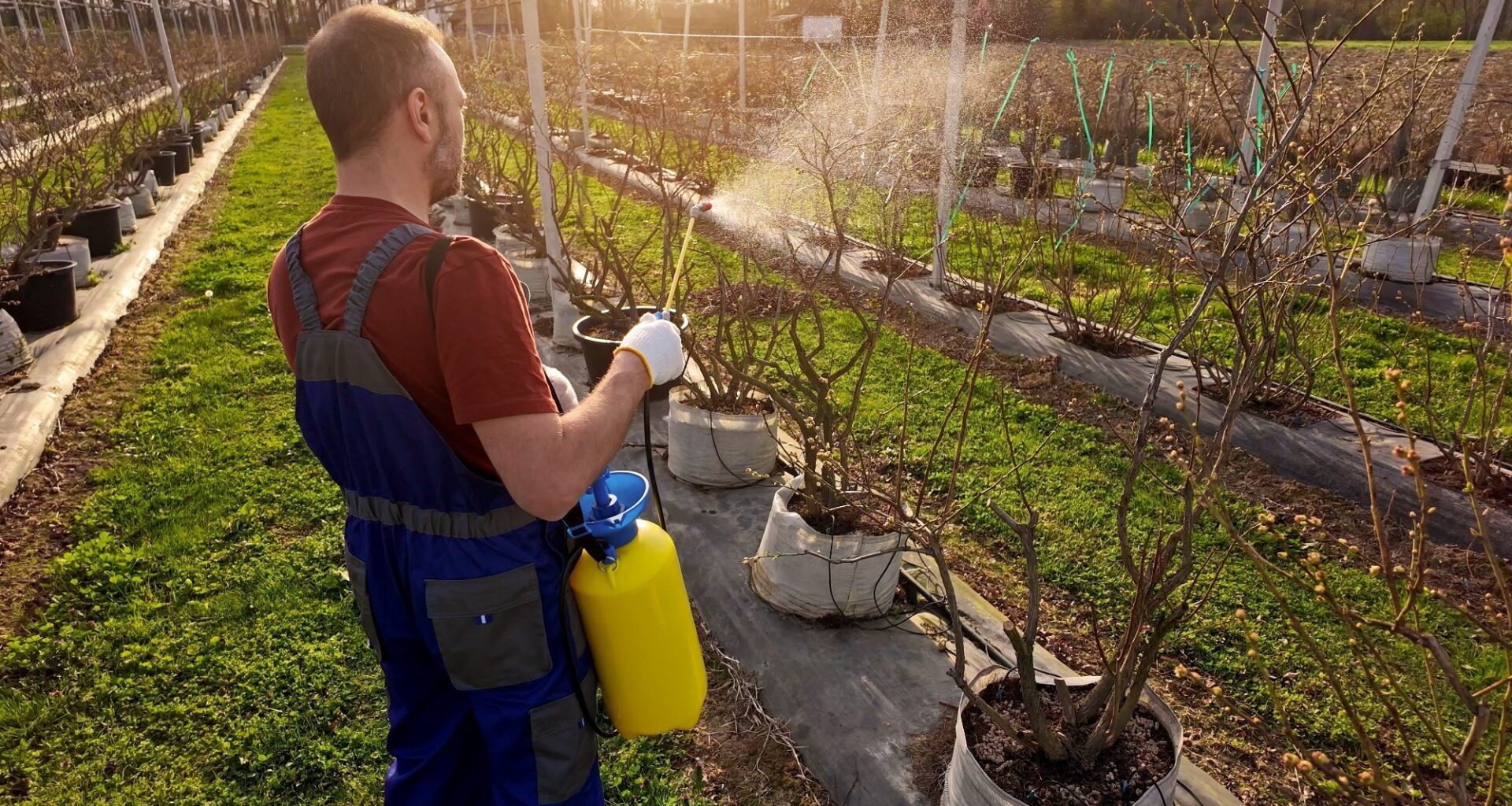 Study: Organophosphate Pesticide Exposure and Semen Quality in Healthy Young Men: A Pilot Study. Image Credit: AstroStar / Shutterstock