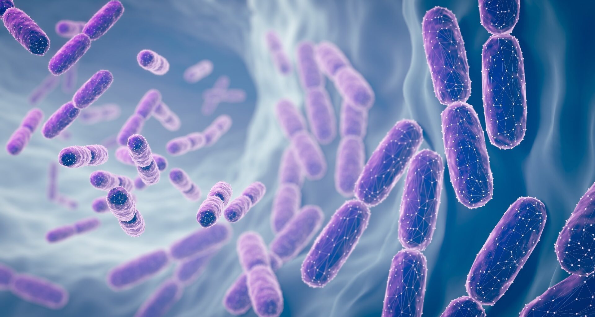 Study: Precision Probiotics Regulate Blood Glucose, Cholesterol, Body Fat Percentage, and Weight Under Eight-Week High-Fat Diet. Image Credit: Anusorn Nakdee  / Shutterstock
