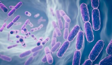 Study: Precision Probiotics Regulate Blood Glucose, Cholesterol, Body Fat Percentage, and Weight Under Eight-Week High-Fat Diet. Image Credit: Anusorn Nakdee  / Shutterstock