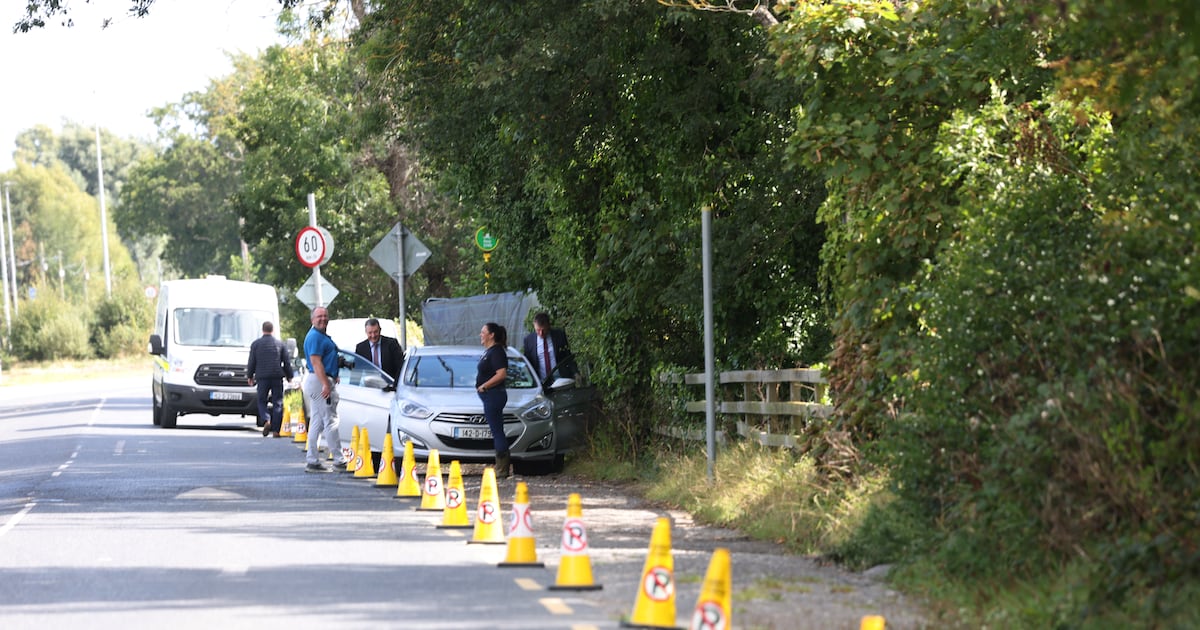 Gardaí unable to locate missing boy in Dublin who is feared dead, says Commissioner – The Irish Times