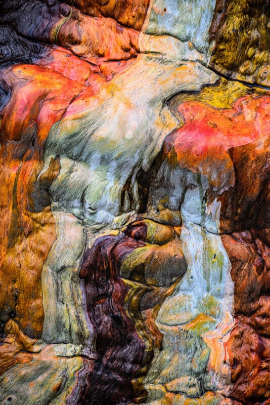Abstract close-up of tree bark featuring swirling textures and vibrant shades of orange, brown, yellow, and white, creating a painterly and organic pattern resembling flowing brushstrokes.