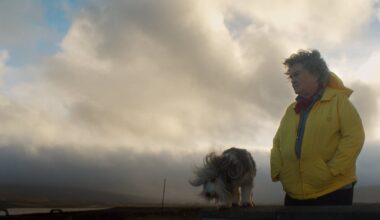The Swallow, Steve, Girls & Boys, A Big Bold Beautiful Journey – The Irish Times