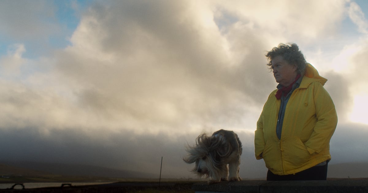 The Swallow, Steve, Girls & Boys, A Big Bold Beautiful Journey – The Irish Times