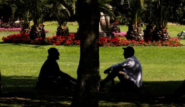 Unusually high night-time temperatures pushed Ireland’s summer to record high – The Irish Times