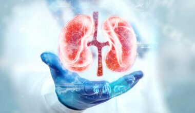 Kidney Medical Hologram