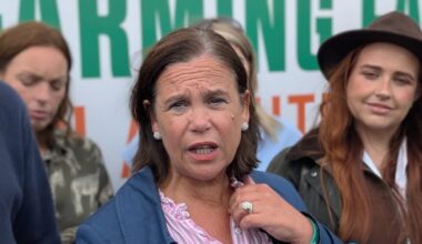 Sinn Féin will endorse presidential candidate with ‘plenty of Irish’, says McDonald – The Irish Times