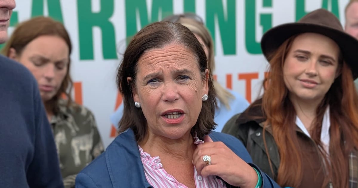 Sinn Féin will endorse presidential candidate with ‘plenty of Irish’, says McDonald – The Irish Times
