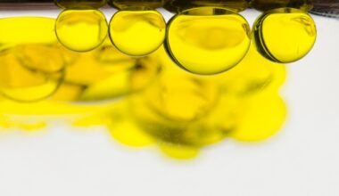 Understanding how lipids activate LC3-associated phagocytosis