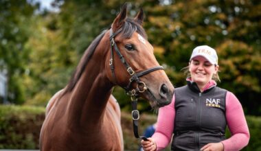 'If You Don't Get A Kick Out Of Selling A Yearling For €1 Million, You Never Will'
