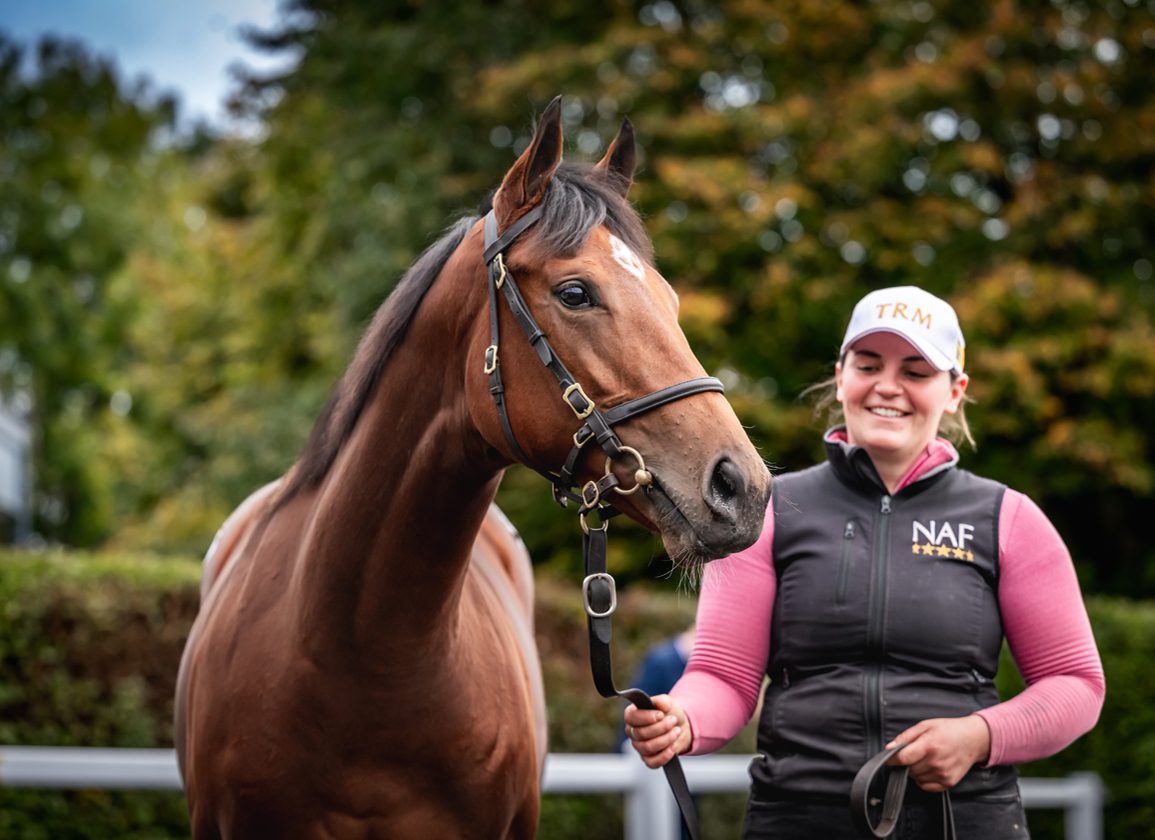 'If You Don't Get A Kick Out Of Selling A Yearling For €1 Million, You Never Will'