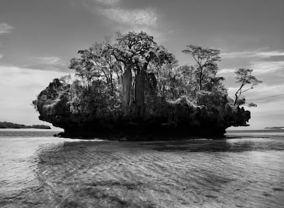 Landscape in Moramba Bay, Madagascar (2010), from the 'Genesis' project.
