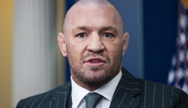 Gardaí arrest two as part of Conor McGregor perjury inquiry – The Irish Times