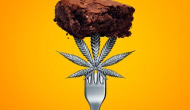 Cannabis Use Quadruples Diabetes Risk, Study of 4 Million Adults Finds