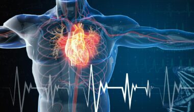 Medical Male Anatomy Heart Attack Cardiovascular Disease