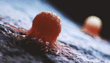 Medically Accurate Cancer Cells Rendering
