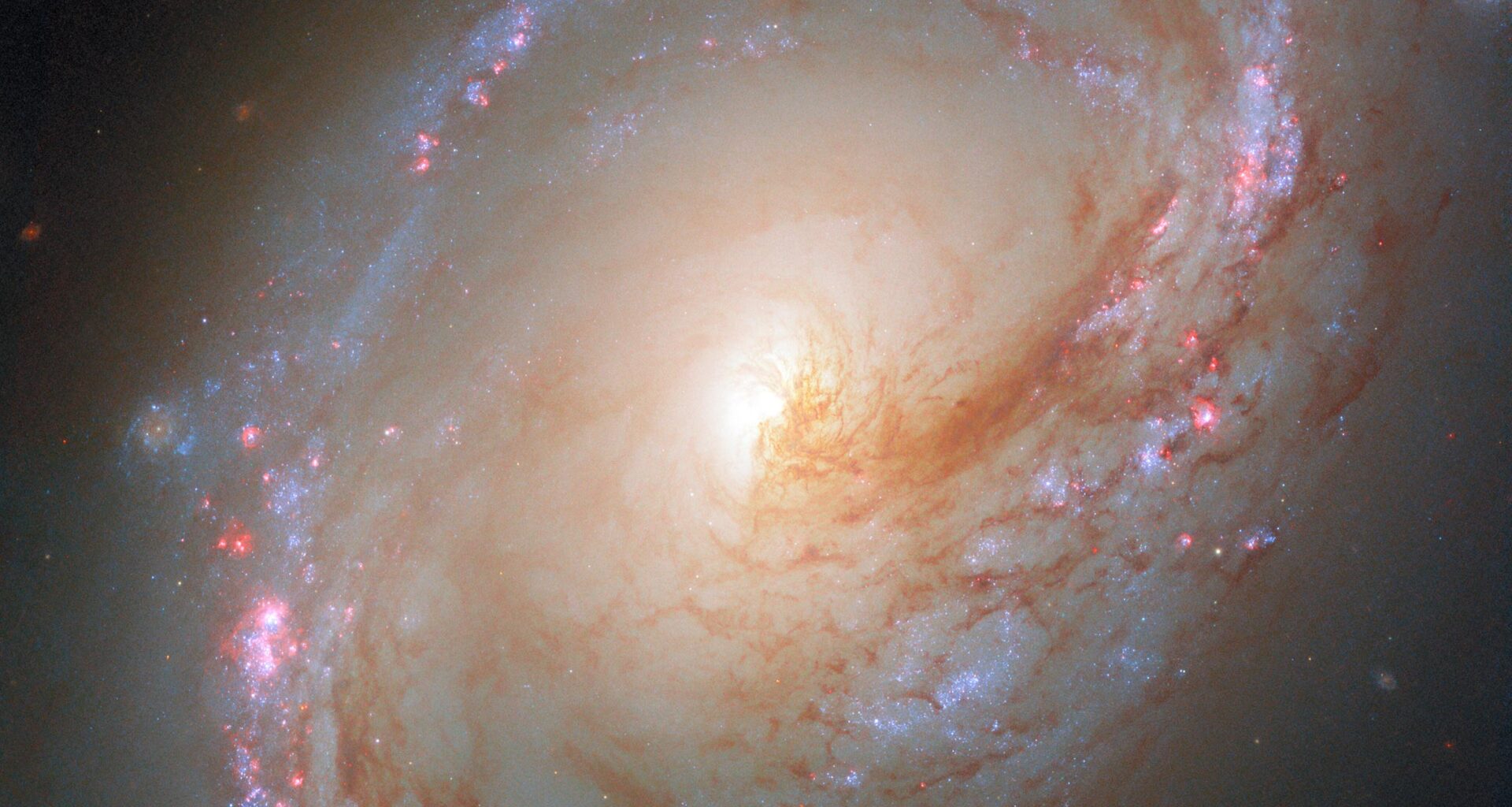 A Galaxy Warped by Gravity Glows With Baby Stars