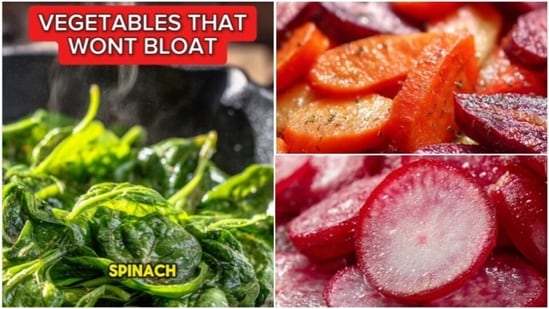 Vegetables like carrots, radish, and spinach are lower in FODMAPs, making them potentially easier to digest for individuals with IBS or those experiencing bloating. (Instagram/ the stomach doc)