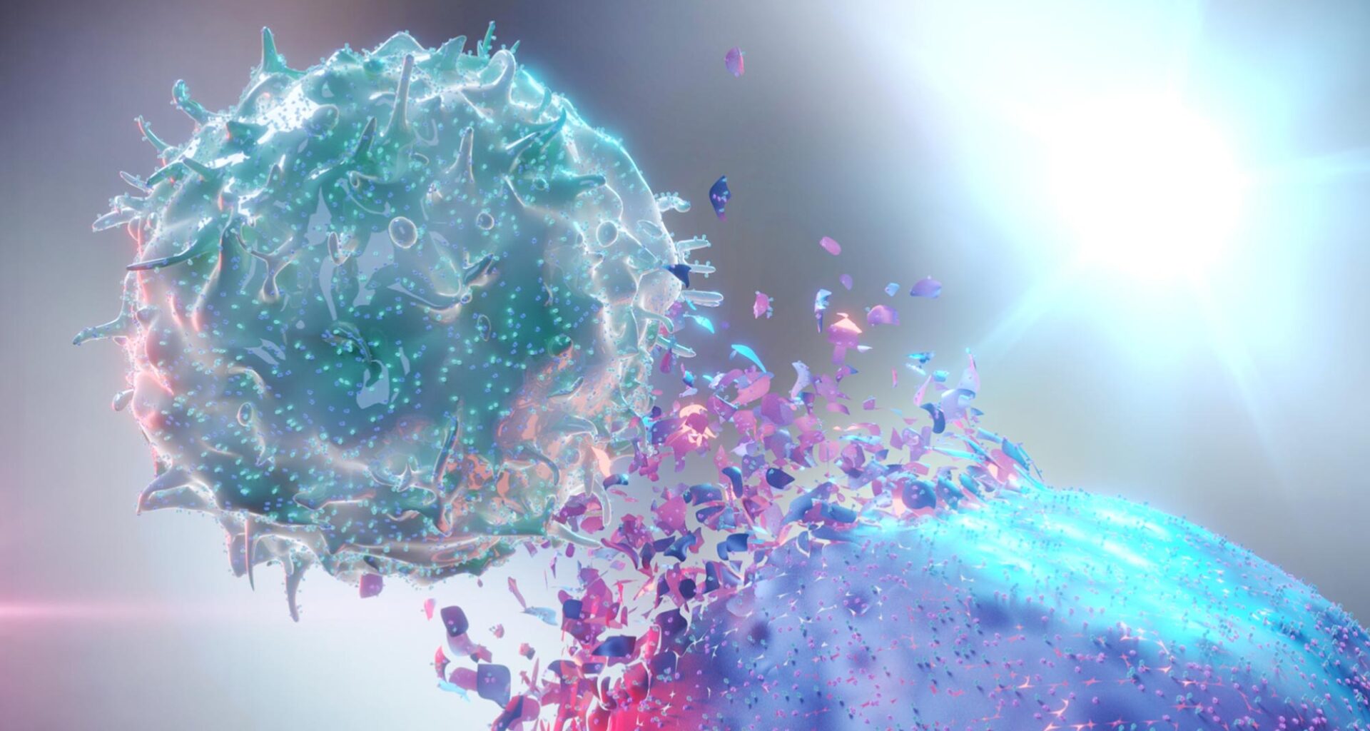 Natural Killer NK Destroying Cancer Cell