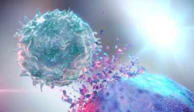 Natural Killer NK Destroying Cancer Cell