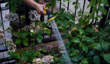 Hosepipe bans to be extended for four weeks in some areas after hottest summer on record – The Irish Times
