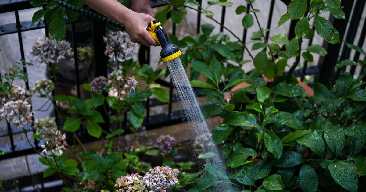 Hosepipe bans to be extended for four weeks in some areas after hottest summer on record – The Irish Times