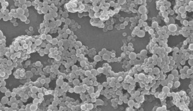 Nanostructures boost CRISPR delivery for genetic medicine