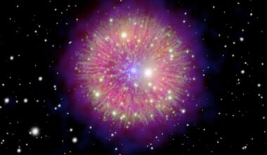 Supernova 1181: Sphere of hundreds of distinct, colorful lines coming from a central point, like a dandelion, with background stars.