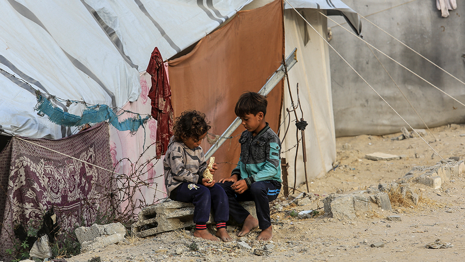 Where will the 2 million displaced Palestinians go?