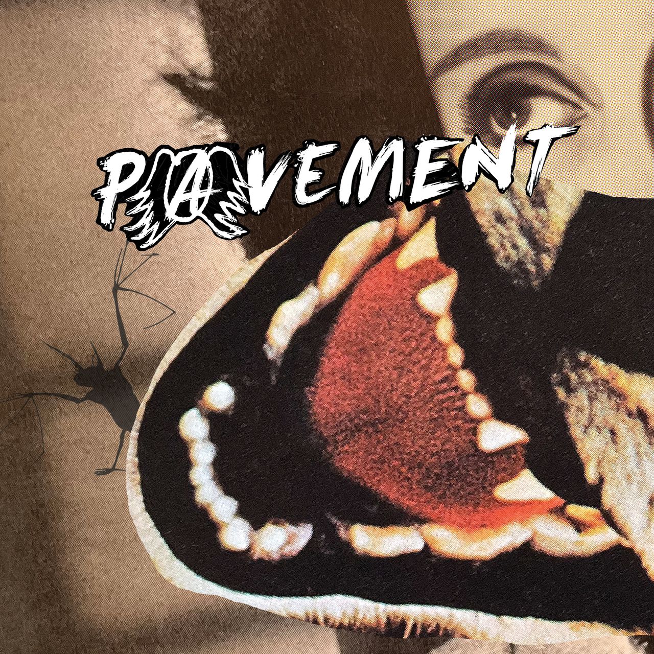 Pavement: Hecklers Choice