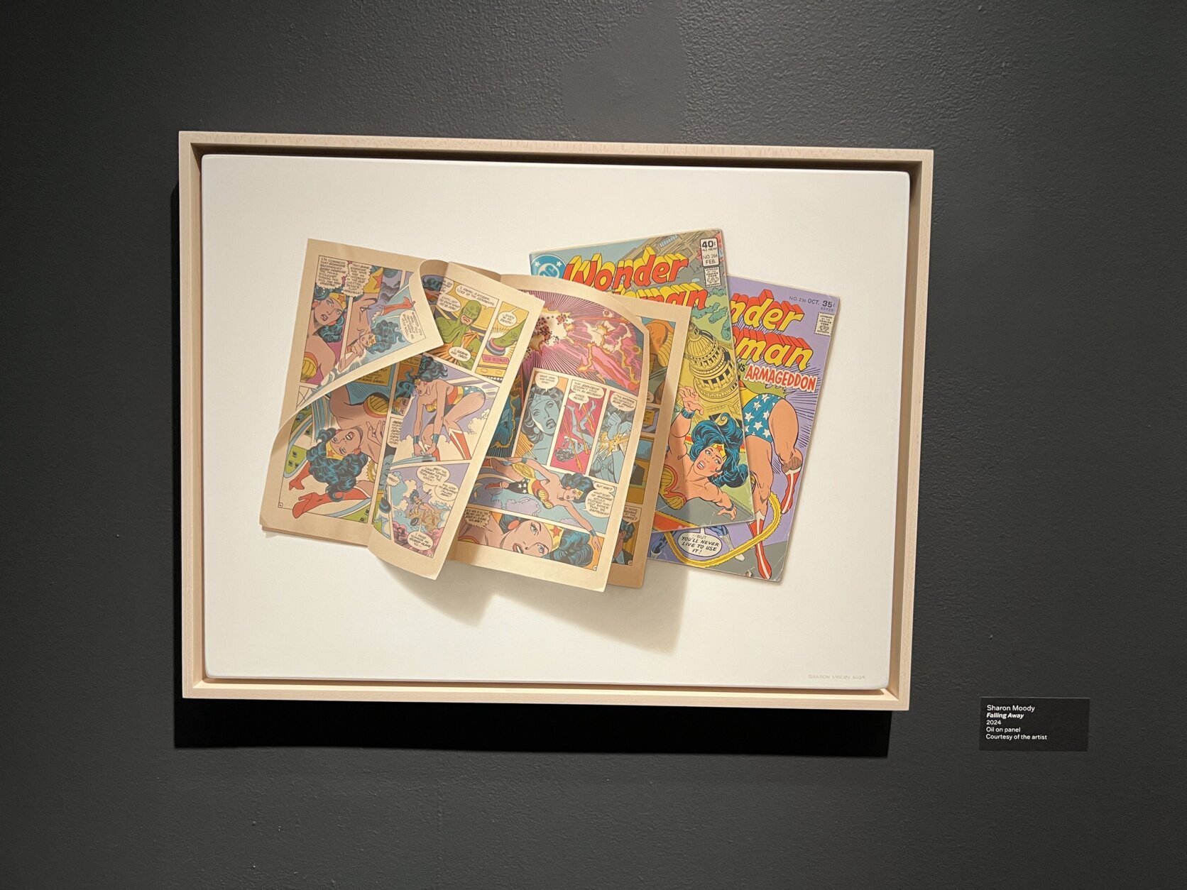 artwork hangs in a gallery