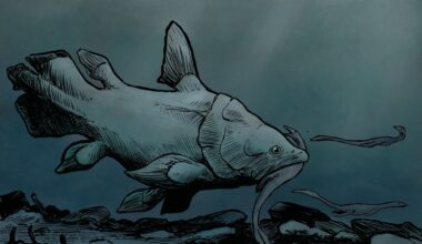 Reconstruction of a Large Mawsoniid Coelacanth