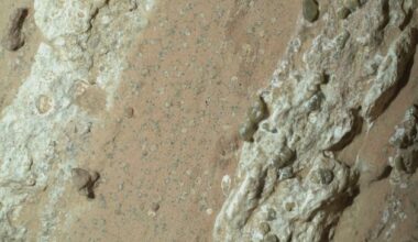 Dr Seán Jordan: Was there ancient life on Mars? My DCU team are doing our bit to assess Nasa’s latest discovery