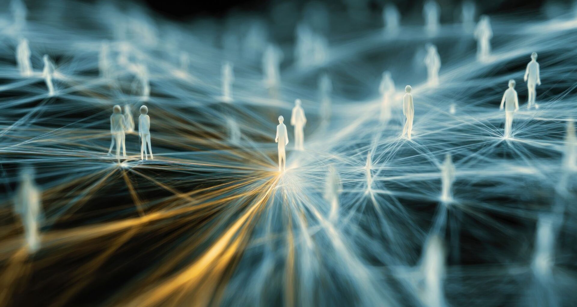 Social Network Connection