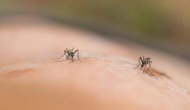 Some habits could make people more attractive to mosquitoes