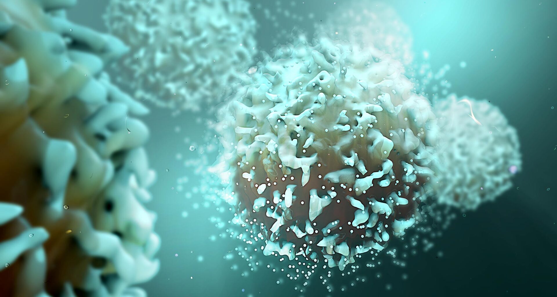 T Cells Cancer Cells