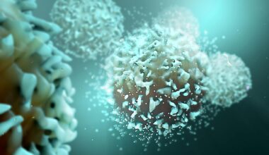 T Cells Cancer Cells