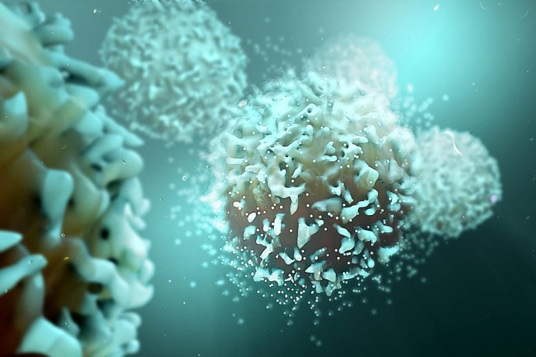T Cells Cancer Cells