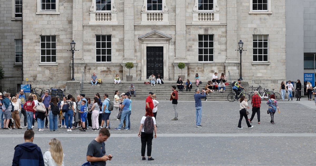 We are lecturers in Trinity College Dublin. We see it as our responsibility to resist AI – The Irish Times