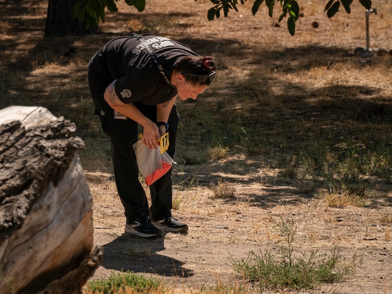 An investigator with the Utah Department of Public Safety scours a residential backyard next to Utah Valley University  the day after the fatal shooting of Charlie Kirk in Orem, Utah. Photograph: Loren Elliott/The New York Times
                      