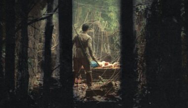 Tales from the Woods
